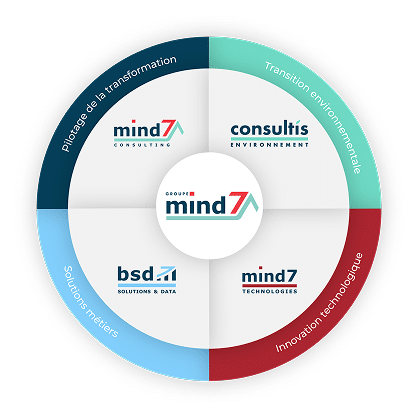 Rosace graphique des entités de l'entreprise Mind7.